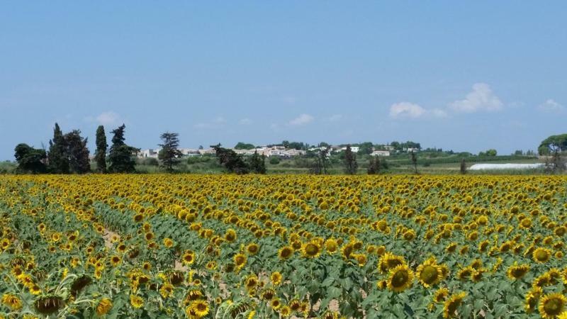 Villa Manet Portiragnes Esterno foto